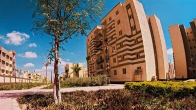 حدائق أكتوبر تعتمد على المياه المعالجة لري 75% من المسطحات الخضراء وتسعى للوصول إلى 95% - إيجي بيزنس 372 857911 - إيجي بيزنس